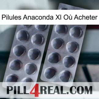 Pilules Anaconda Xl Où Acheter 31
